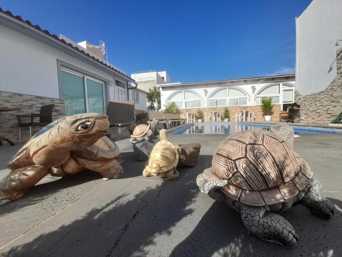 Tenerife Little Village S San Isidro  Dış mekan fotoğraf